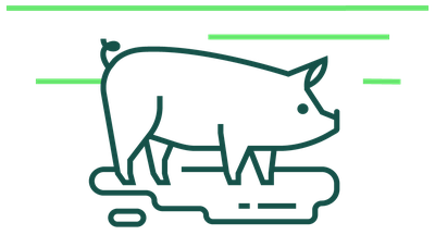 greengage_icon_swine