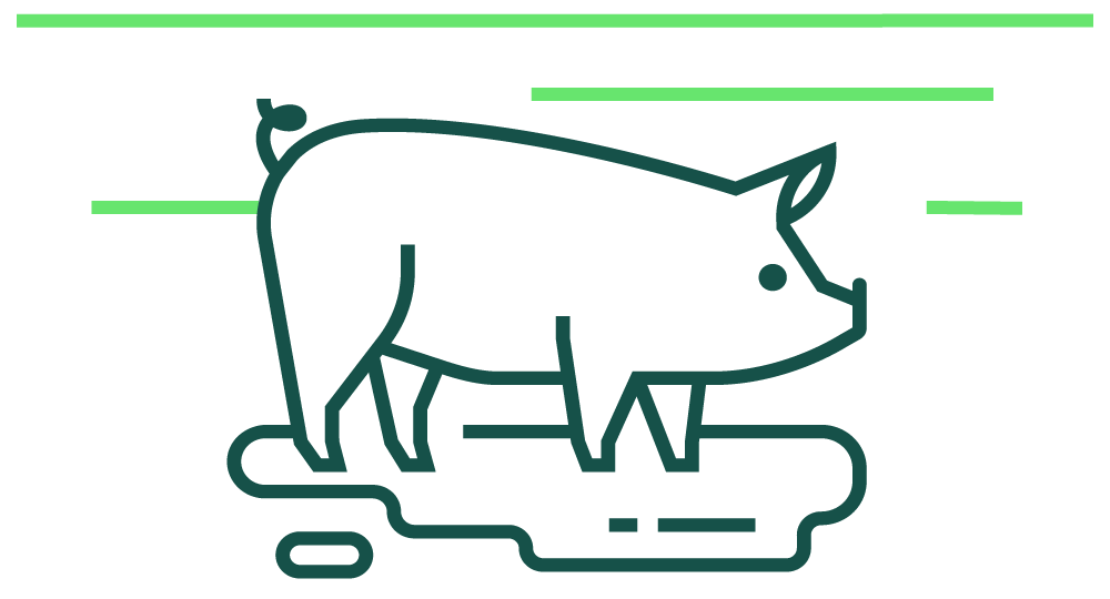 greengage_icon_swine