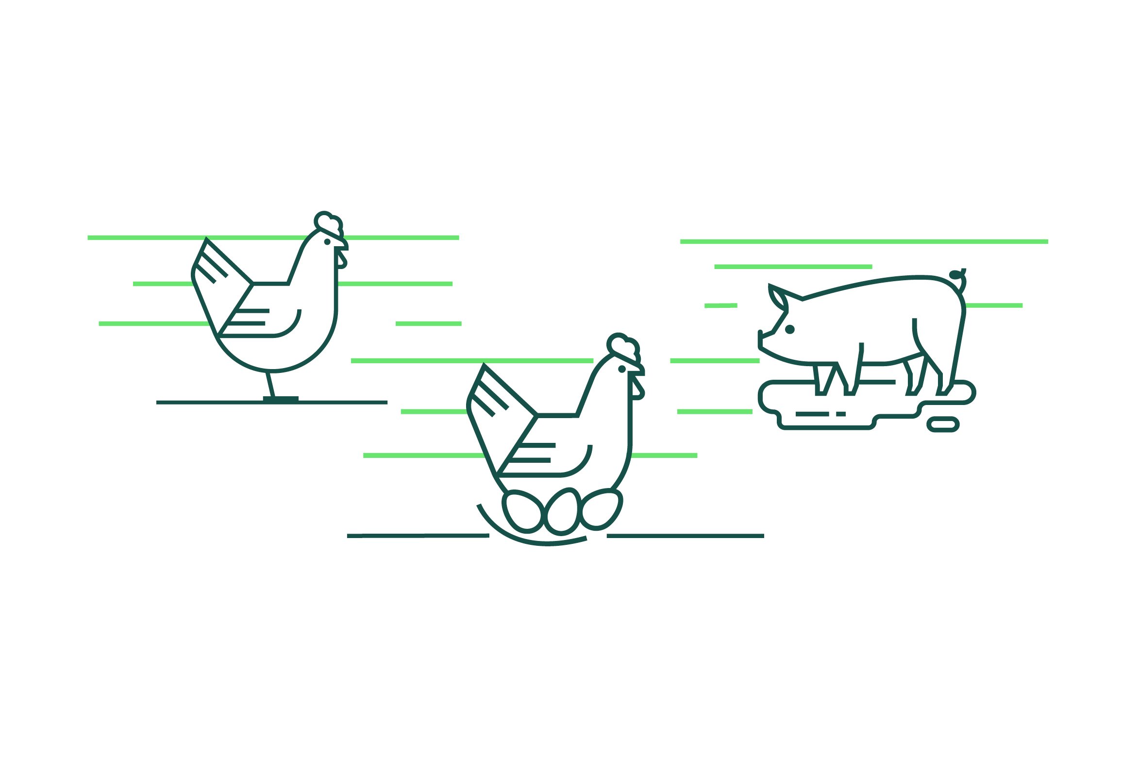 greengage_website_cartoon_animals